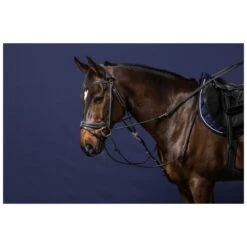 Reins Gogue Rubber Reins, 13 Mm, Working By -Equestrian Supplie Shop 0176697 processed 1280x1280
