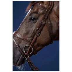 Cheek Pieces For Bridle Bit, US Collection -Equestrian Supplie Shop 0176831 processed 1280x1280