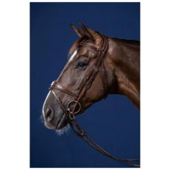 Cheek Pieces For Bridle Bit, US Collection -Equestrian Supplie Shop 0176832 processed 1280x1280