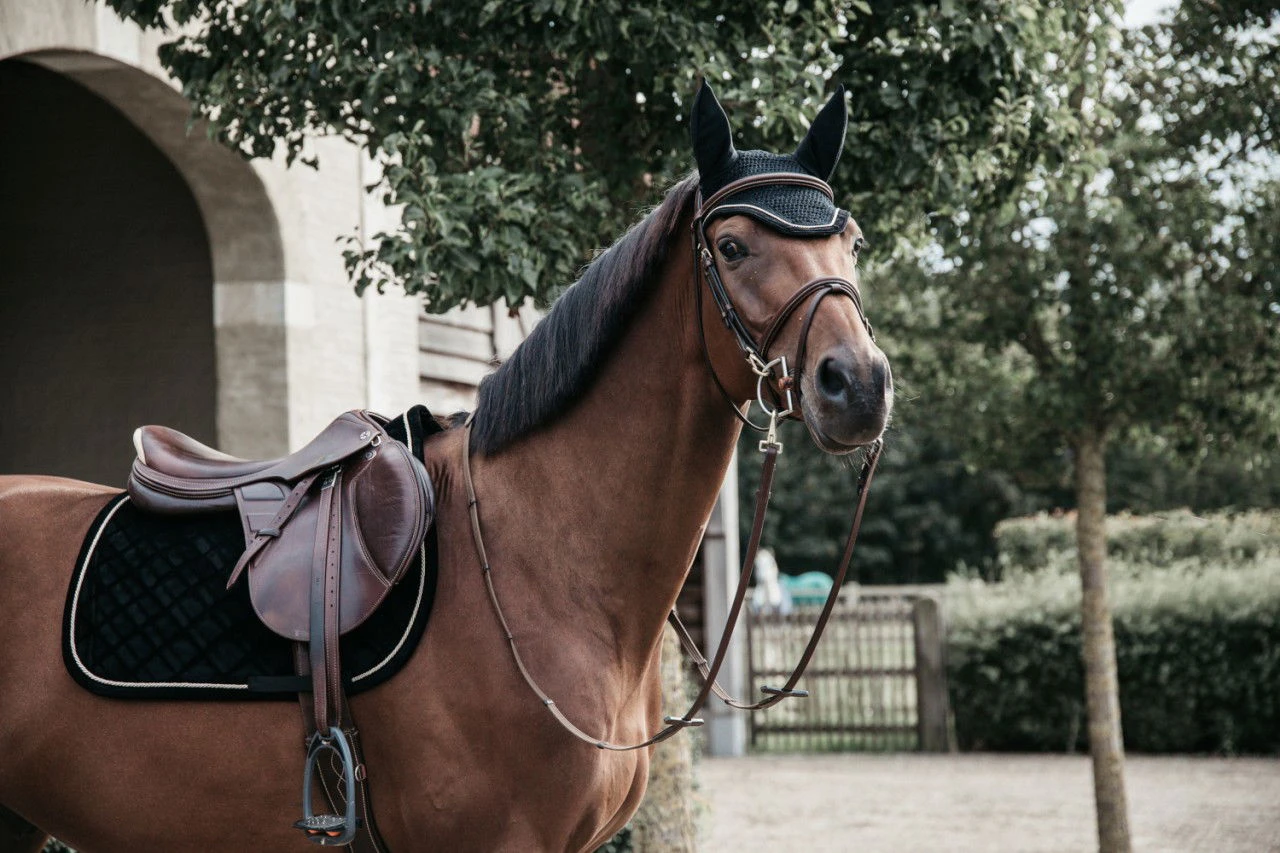 Kentucky Horsewear Jumping Saddle Pad Corduroy 4 Kentucky Horsewear Jumping Saddle Pad Corduroy - Image 2