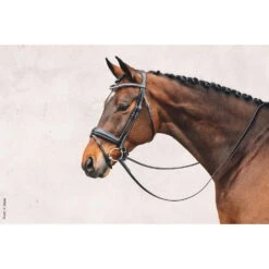 Snaffle Malibu With Swedish Caveson Special -Equestrian Supplie Shop 1101 00041 Malibu img189slRZmhPpgGNc 1280x1280