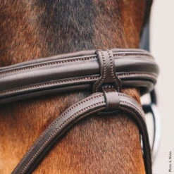 Bridle Tokyo Select With Combined Noseband -Equestrian Supplie Shop 1101 00047 TokyoSelect img133P1Lnhr40j2Th9 1280x1280