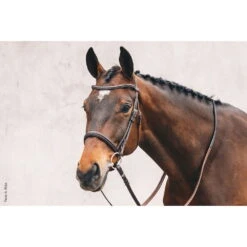 Bridle Tokyo Select With Combined Noseband -Equestrian Supplie Shop 1101 00047 TokyoSelect without flash img49cBcTpY1vuX6yf 1280x1280