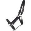 Nylon Halter Deluxe