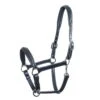 Schokemoehle Sports Halter Ulm, Leather Halter -Equestrian Supplie Shop 1310 00011 UlmoZvgpboNuOJx8 1280x1280