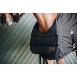 Kentucky Horsewear BIB Summer -Equestrian Supplie Shop 15042019 485A0692IztF2AJGfM17nqp3IZIiOCwwgK 1280x1280