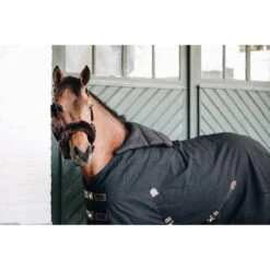 Kentucky Horsewear BIB Summer -Equestrian Supplie Shop 15042019 485A0697PRTonRvyc9xCUqNX3q7DhZEgSL 1280x1280