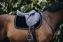 Kentucky Horsewear Jumping Saddle Pad Corduroy 8 Kentucky Horsewear Jumping Saddle Pad Corduroy -Equestrian Supplie Shop 15042019 485A0897U693AnQZ3lz3s 1280x1280