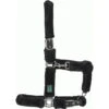 USG Halter Fluffy -Equestrian Supplie Shop 15050026 233 b1 processed 1280x1280