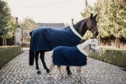 Kentucky Horsewear Show Rug Heavy -Equestrian Supplie Shop 17102019 485A94966qqGsIAyiVF7G 1280x1280
