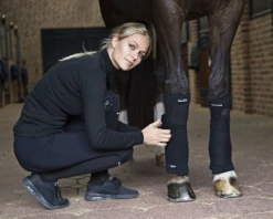 Back On Track Scandic PK Bandage Pads -Equestrian Supplie Shop 2014 Scandic PK Leg Wraps WEB 4 1280x1280