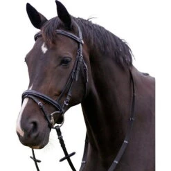 Bridle, Snaffle Bridle, With Reins -Equestrian Supplie Shop 2021 Trense mitLuxus Nahten black5 processed processed 1280x1280