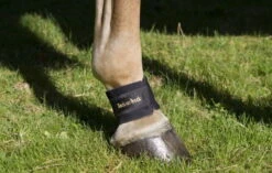 Back On Track Ankle Ligament -Equestrian Supplie Shop 2048 pastern wrap iii 2XKQ5siqSneens 1280x1280