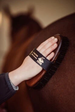 Body Brush Parcour -Equestrian Supplie Shop 217 C LeonieLorenz 6542SFQU1x47Z40pk 1280x1280