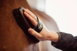 Body Brush Parcour -Equestrian Supplie Shop 217 C LeonieLorenz 65478kgM70cKKoXEk 1280x1280