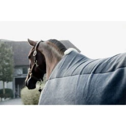 Kentucky Horsewear Sweat Rug Heavy Fleece, Fleece Rug -Equestrian Supplie Shop 27082019 485A04861jKYWgBNBaMHR 1280x1280