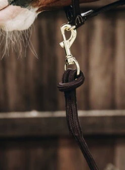 Kentucky Horsewear Lead Rope Loop -Equestrian Supplie Shop 28032019 485A85645LsrjM5pw9von 1280x1280