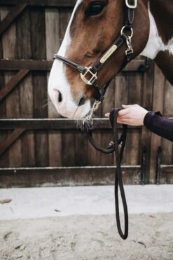 Kentucky Horsewear Lead Rope Loop -Equestrian Supplie Shop 28032019 485A8577Rqir1rkIMfCFK 1280x1280