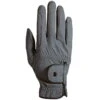 Roeckl Gloves Roeck Grip Winter, Winter Gloves -Equestrian Supplie Shop 3301 527 080 Roeck Grip Winter 1280x1280