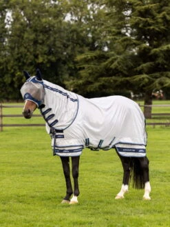Lemieux Armour-Tek Fly Rug, With Neck Piece 13 Lemieux Armour-Tek Fly Rug, With Neck Piece -Equestrian Supplie Shop 3N6A5221 copy processed 1280x1280