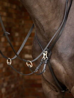 Lemieux Martingale Kudos Running, Removable Martingale Fork -Equestrian Supplie Shop 3n6a9666 processed 1280x1280