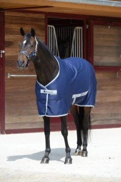 Freedom Twill, 0g -Equestrian Supplie Shop 417 Freedom Twill Navy 3748u2aupJ7fBqkbS 1280x1280