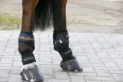 Kentucky Horsewear Kentucky Pastern Wrap -Equestrian Supplie Shop 42201 C 1280x1280