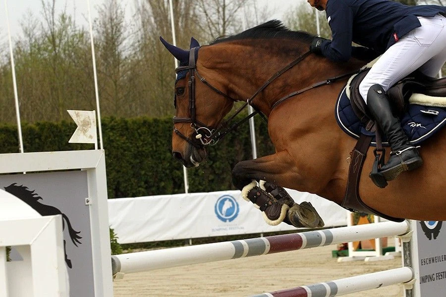 Kentucky Horsewear Stud Girth 8 Kentucky Horsewear Stud Girth - Image 6