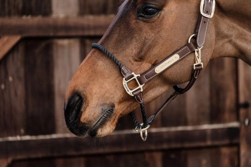 Kentucky Horsewear Leather Rope Halter 8 Kentucky Horsewear Leather Rope Halter - Image 6
