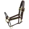 Kentucky Horsewear Leather Rope Halter -Equestrian Supplie Shop 42540 05 P 1280x1280