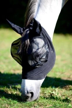 Kentucky Horsewear Fly Mask Slim Fit -Equestrian Supplie Shop 42604 xb 1476452506 361 1280x1280