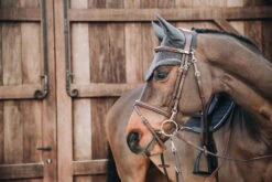 Kentucky Horsewear Kentucky Horseware Fly Bonnet Long Stone & Pearl 10 Kentucky Horsewear Kentucky Horseware Fly Bonnet Long Stone & Pearl -Equestrian Supplie Shop 42616 42617 1KWaLOmCJTiMPOHZCwJU17dzZoi 1280x1280