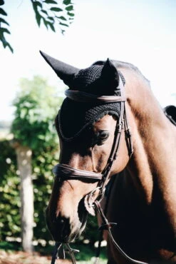 Kentucky Horsewear Fly Bonnet Long Stone & Pearl Soundless -Equestrian Supplie Shop 42616 42617vCoyvoKXIIi0XQ7kCb0iW05Aql 1280x1280