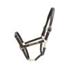 Kentucky Horsewear Leather Halter Flexible 2 Kentucky Horsewear Leather Halter Flexible -Equestrian Supplie Shop 42712 05YZq6BB0GdYc4s 1280x1280