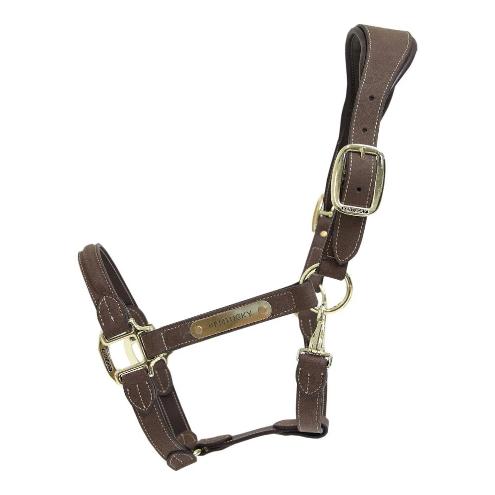 Kentucky Horsewear Anatomical Suede Halter 3 Kentucky Horsewear Anatomical Suede Halter