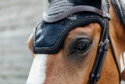 Equestrian Supplie Shop -Equestrian Supplie Shop 485A2197 1280x1280