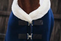 Kentucky Horsewear Show Rug Heavy -Equestrian Supplie Shop 52148 3YzA4oQxudvcC0 1280x1280