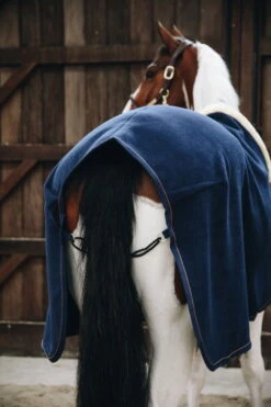 Kentucky Horsewear Show Rug Heavy -Equestrian Supplie Shop 52148 4QKS5u5v6HUqNP 1280x1280