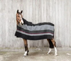 Kentucky Horsewear Fleece Rug Square Stripes Heavy -Equestrian Supplie Shop 52172 01 2 1280x1280