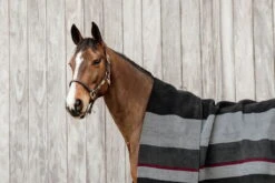 Kentucky Horsewear Fleece Rug Square Stripes Heavy -Equestrian Supplie Shop 52172 01 4 1280x1280
