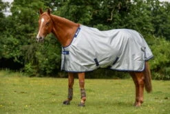 Power Turnout Extra 300g -Equestrian Supplie Shop 602 613 Power Turnout 6485l57N84Q15XJ3M 1280x1280