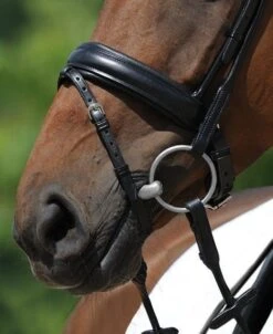 Noseband Special With Flash Strap -Equestrian Supplie Shop 678 Rh sch Spez Sperr Detail 468x5735624d4b7ddfc1 1280x1280
