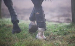 Kentucky Horsewear Air Tech Eventing Boots Hind -Equestrian Supplie Shop 84203 5kSaiM6zYOy0hc 1280x1280