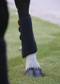 Kentucky Horsewear Air Tech Eventing Boots Hind -Equestrian Supplie Shop 84203 c3 1280x1280