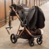 Saddle Caddy IHRCarry Light Rose Plated -Equestrian Supplie Shop 870317717767a718709867c313edf7641595cddc ZT90123000 3052 mfront 5 processedmuc9P5D4uf8MC 1280x1280