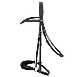 Bridle Apollo With Dropped Noseband