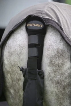 Kentucky Horsewear Tail Guard -Equestrian Supplie Shop 88196 a copyW4THRFz0LfFzOnlkKM6iPHdlLR 1280x1280