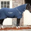 Cooler Rug Rambo Dry Rug -Equestrian Supplie Shop ABAM52 BI00 2 1280x1280