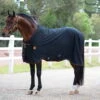 Stable And Transport Rug Rambo Ionic