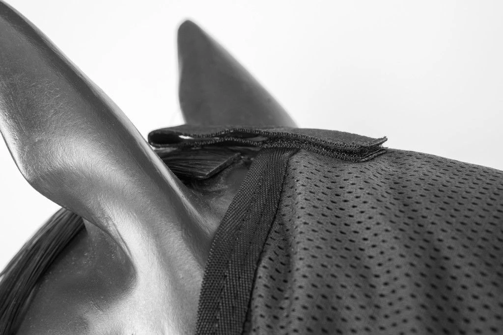 Back On Track Neck Part Royal Deluxe 4 Back On Track Neck Part Royal Deluxe - Image 2